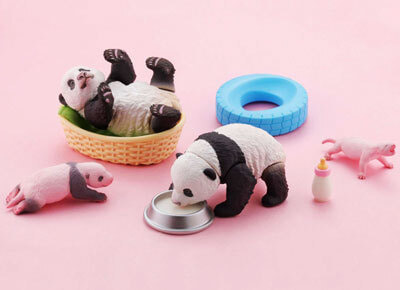 子パンダ日和-2 すくすく成長記